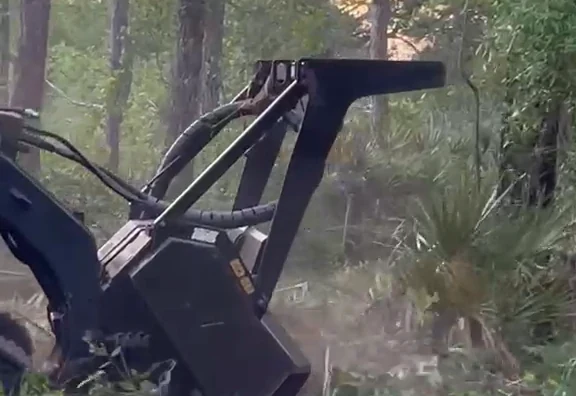 Our skid steer mulching head grinding saw palmetto and underbrush under tall pines in North Florida